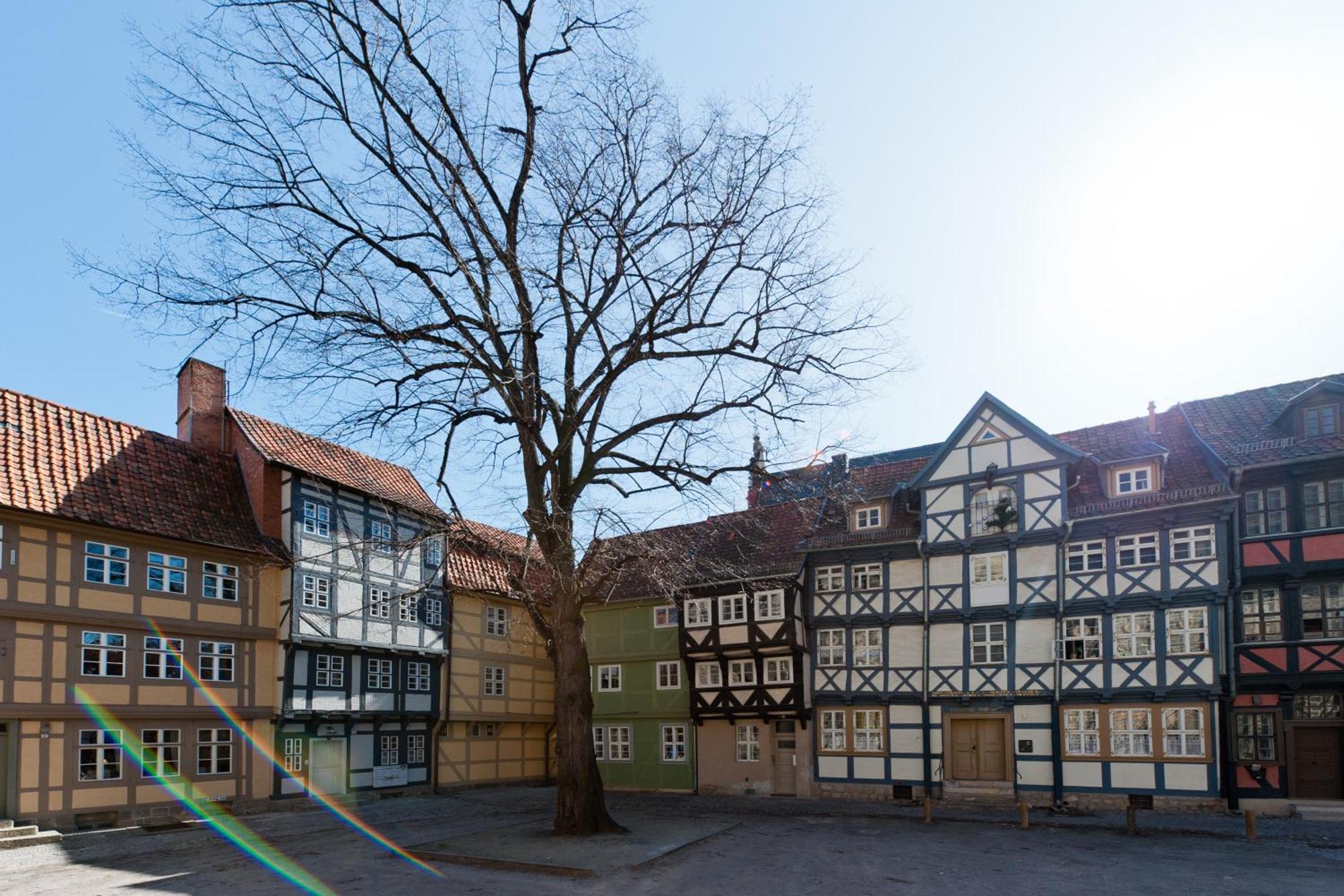 Schlaf-Gut Appartments Quedlinburg Eksteriør billede